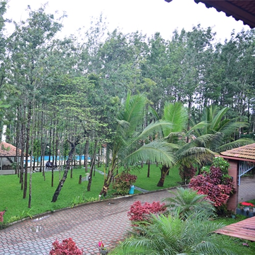 Room View